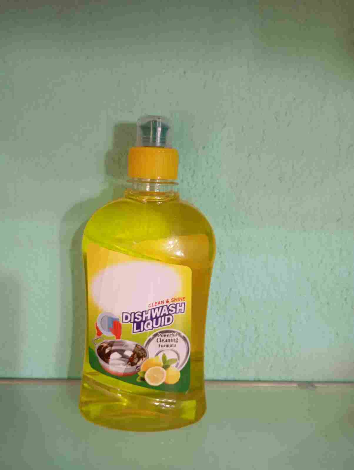 DISH WASH 500 ML