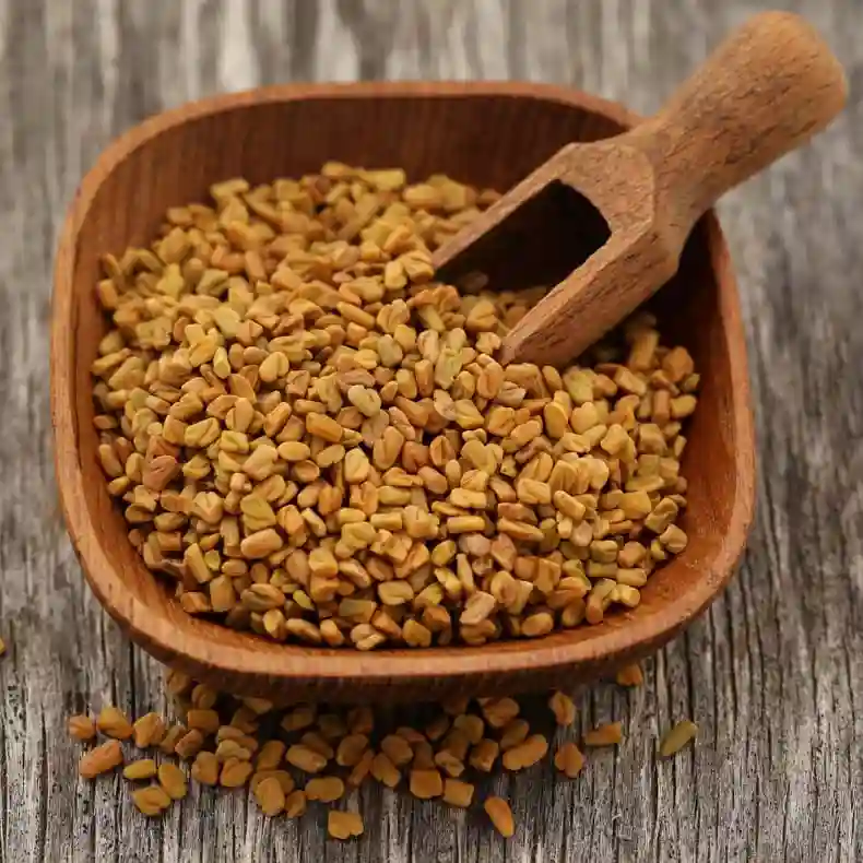 Fenugreek(500g)