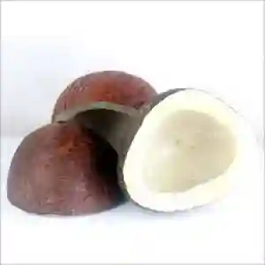 Dry Coconut 500g
