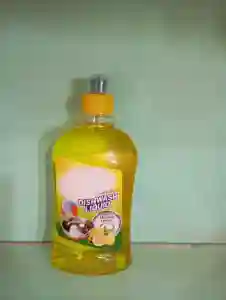 DISH WASH 500 ML